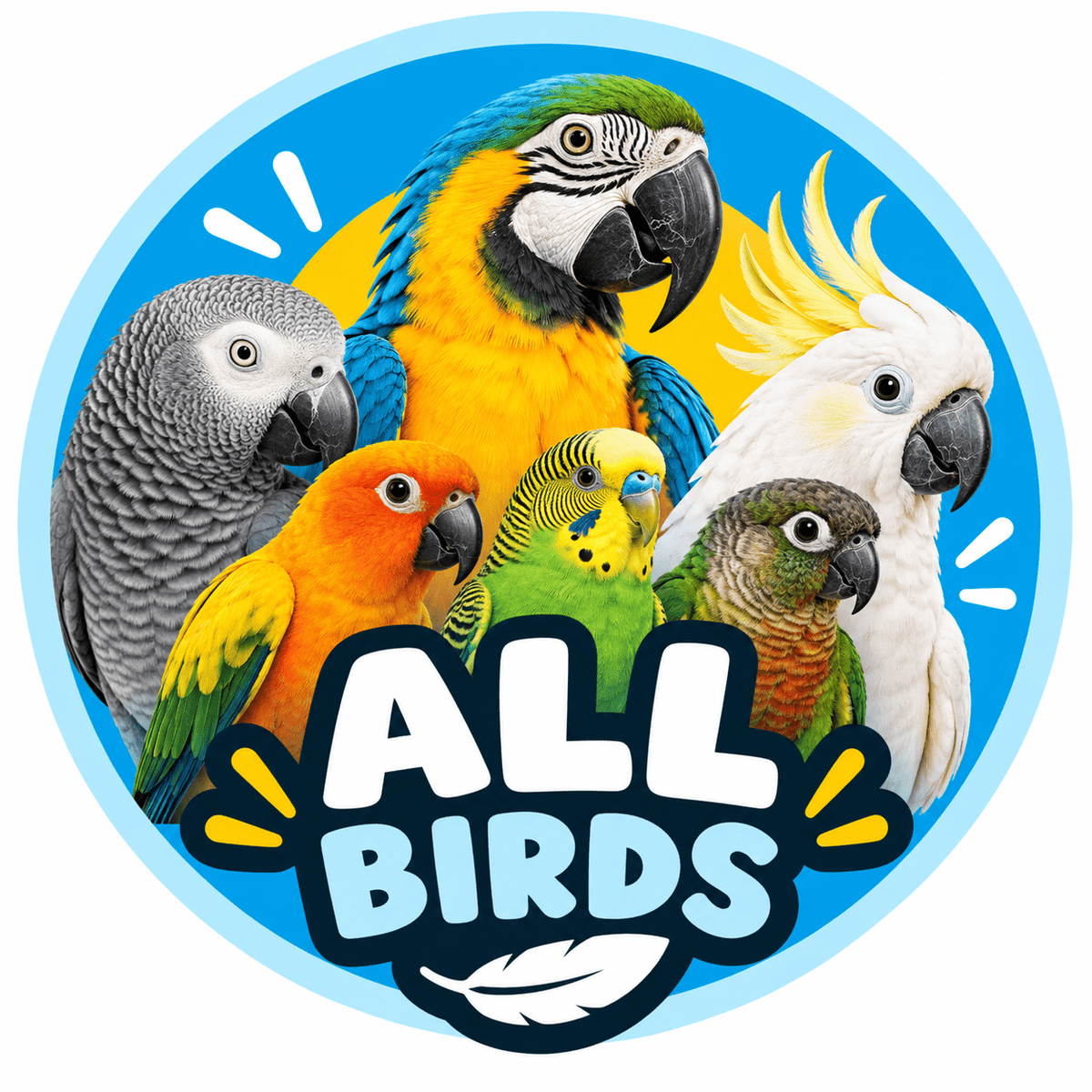 All Birds