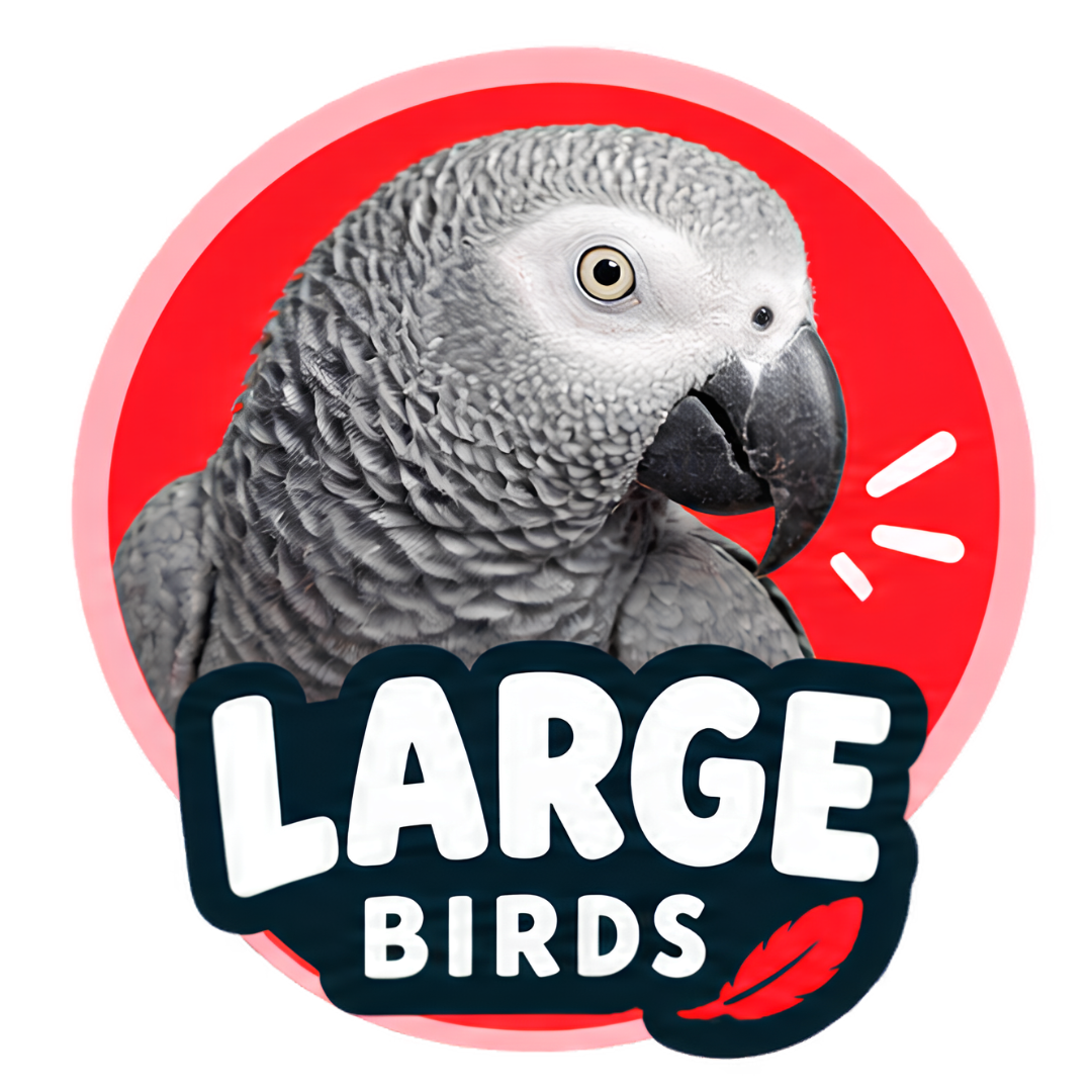 Large Birds