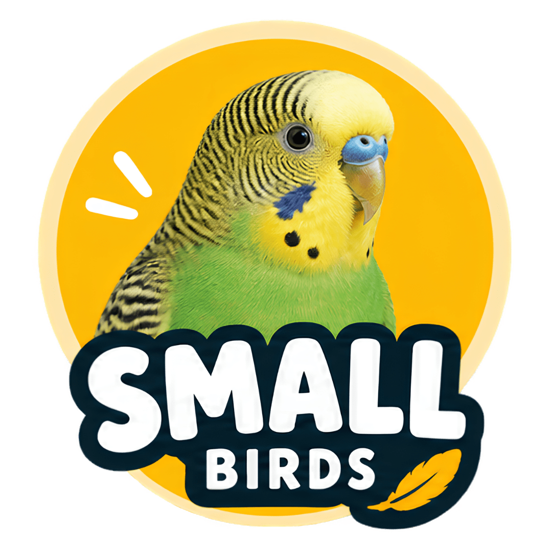 Small Birds