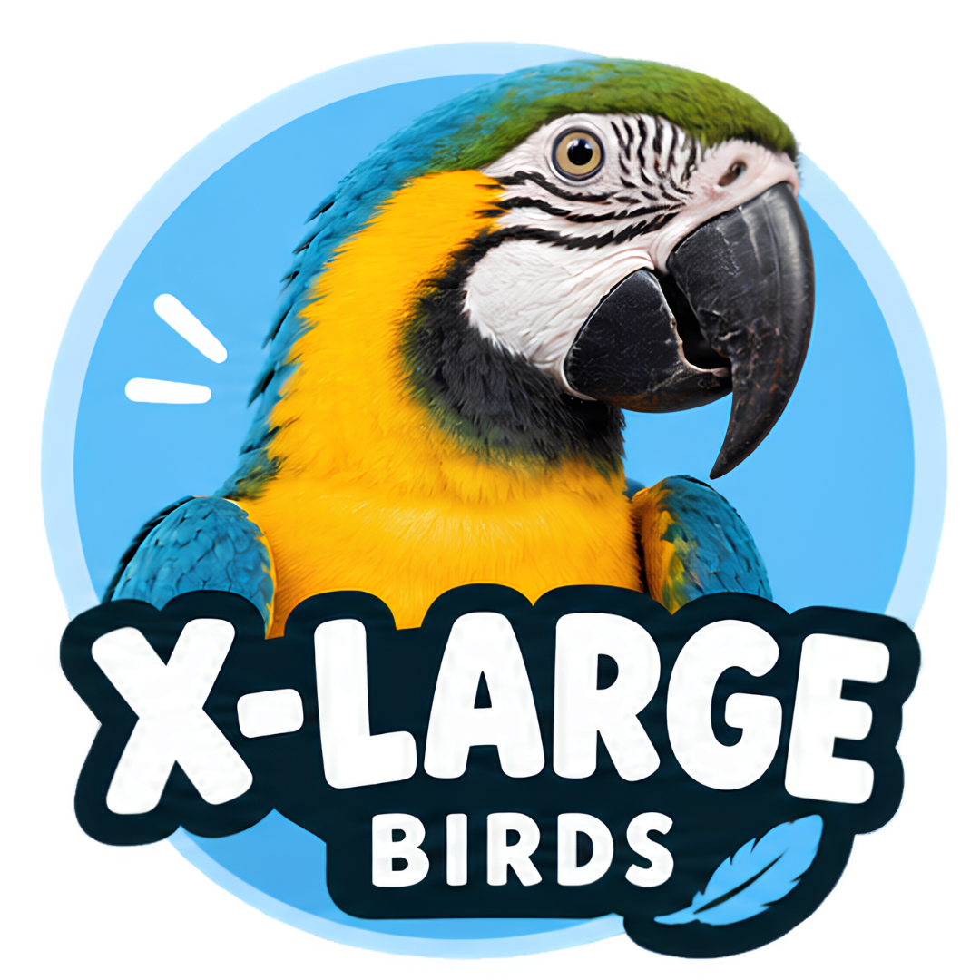 X-Large Birds