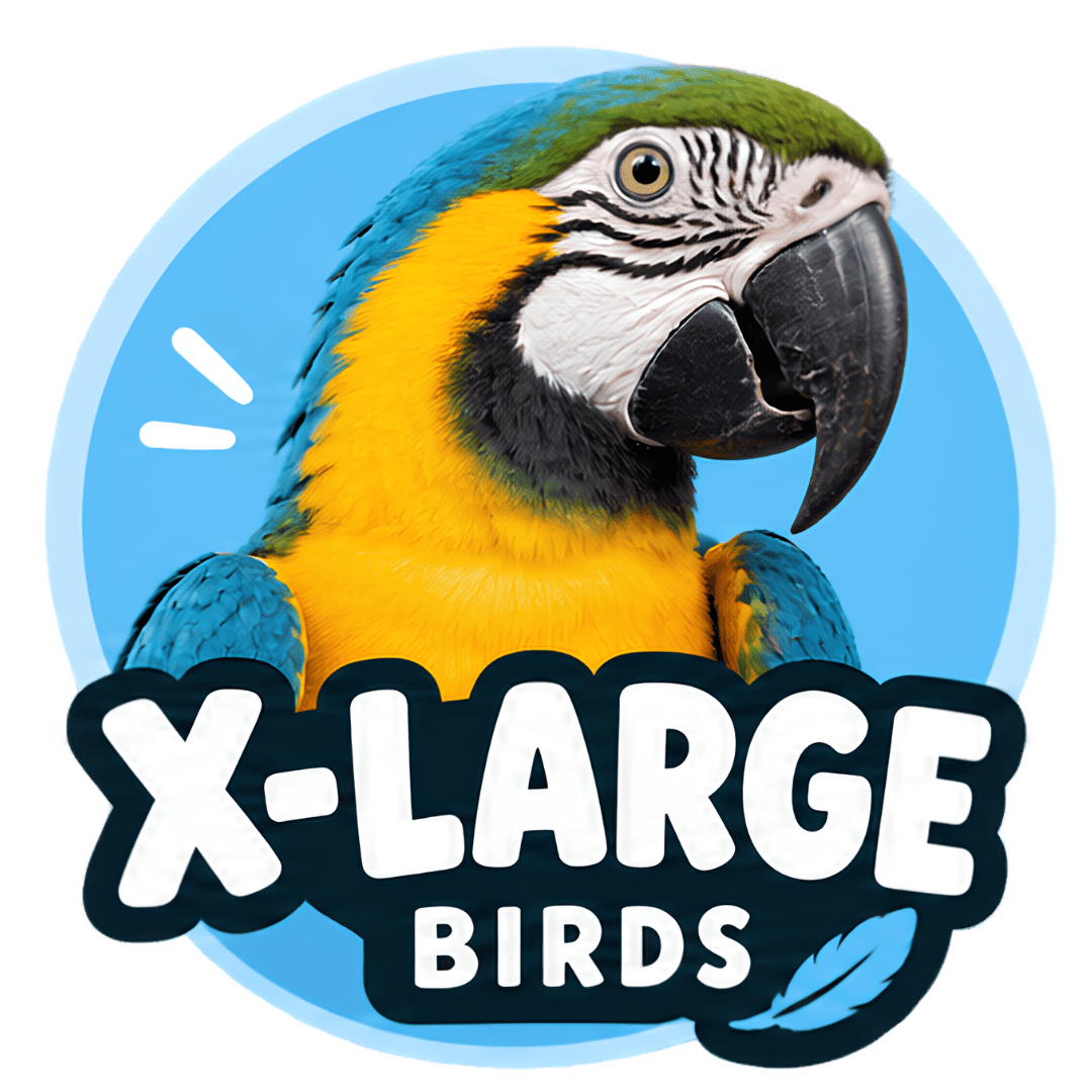 X-Large Birds