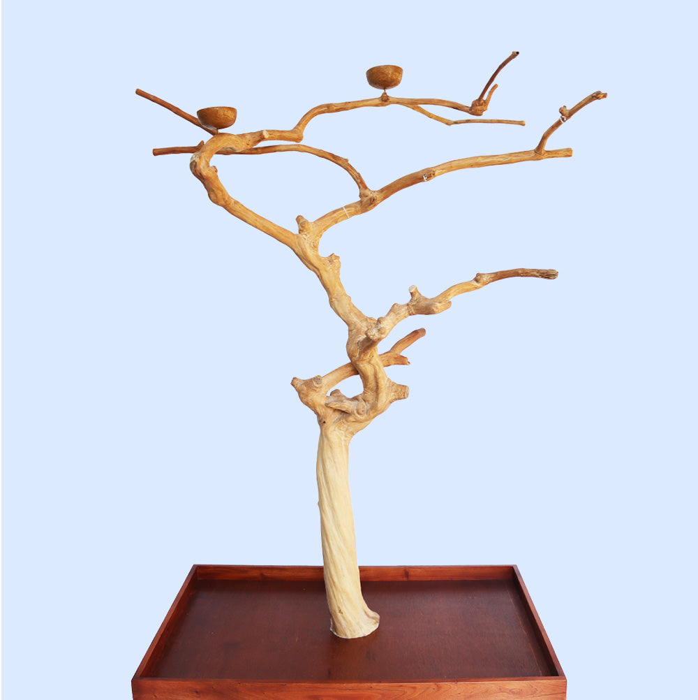 Large Java Tree Play Stand 4