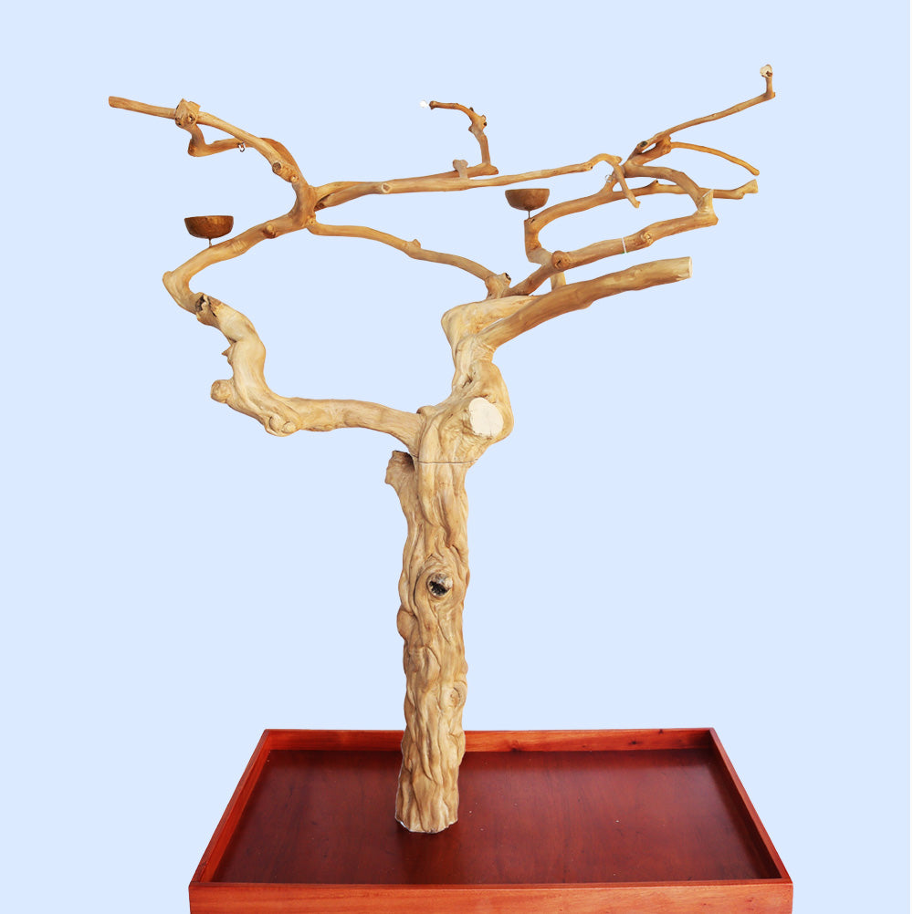 A large, handcrafted wooden play stand resembling a tree with multiple branches, placed on a wooden platform.