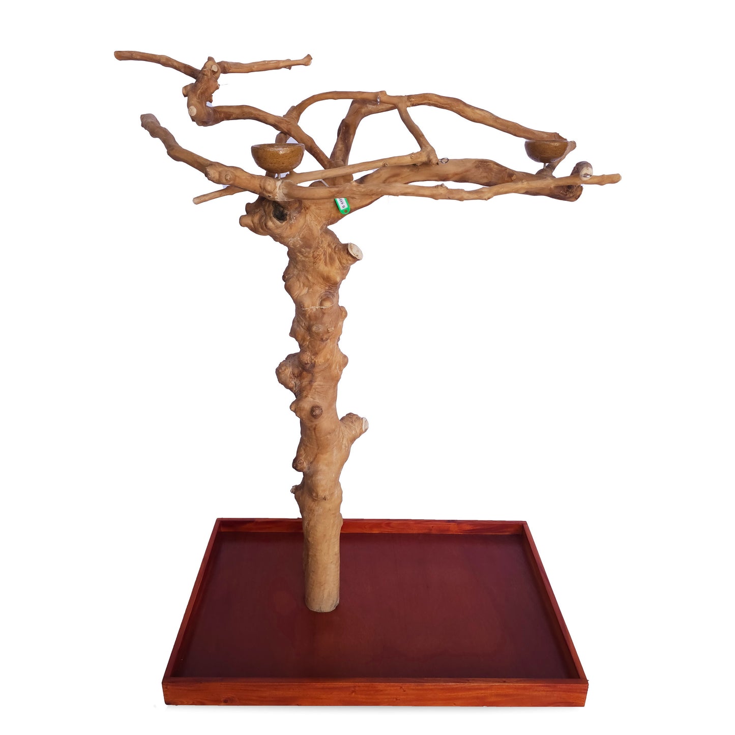 Java Tree Floor Stand for Parrots (Pick Your Exact Tree)
