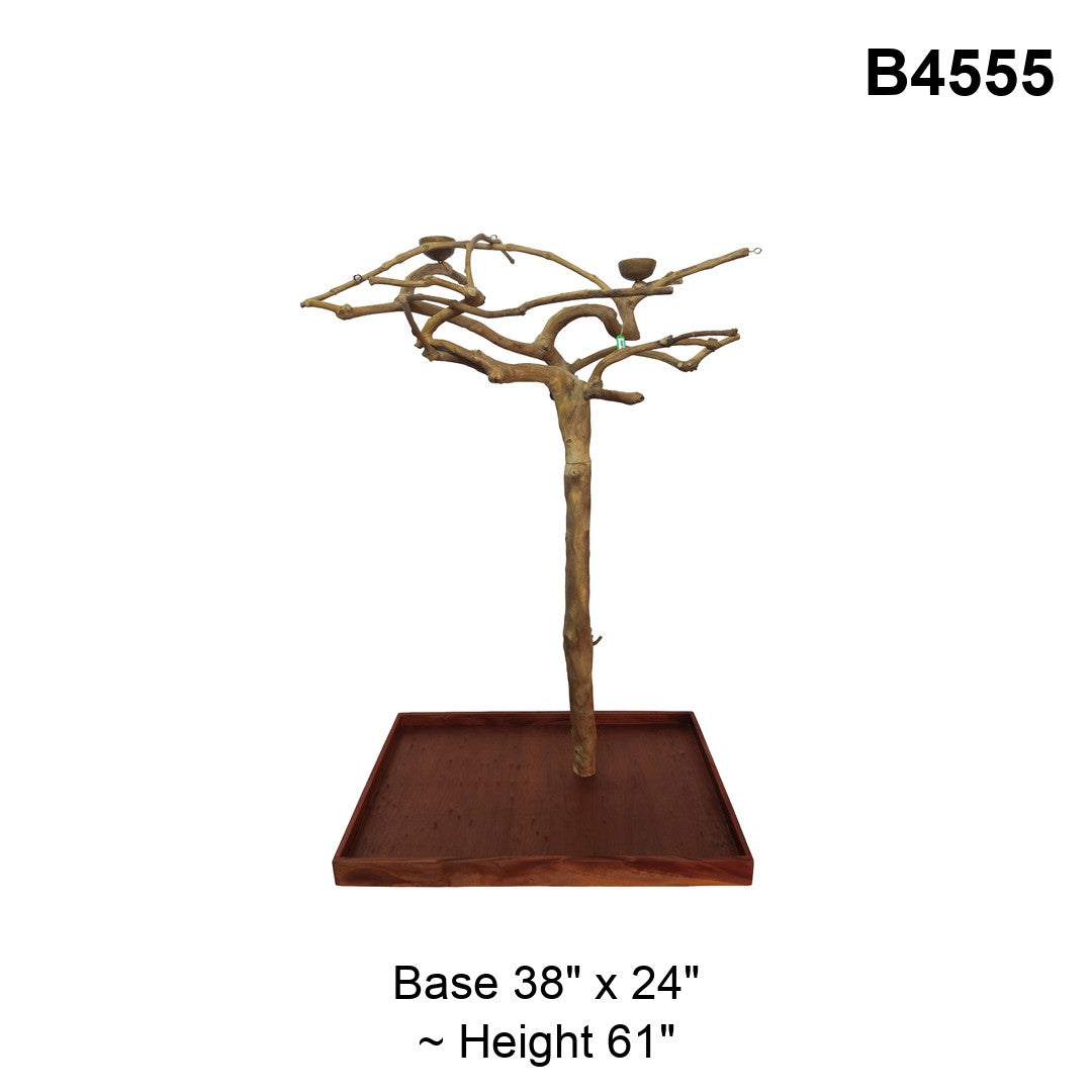 Java Tree Floor Stand for Parrots (Pick Your Exact Tree)