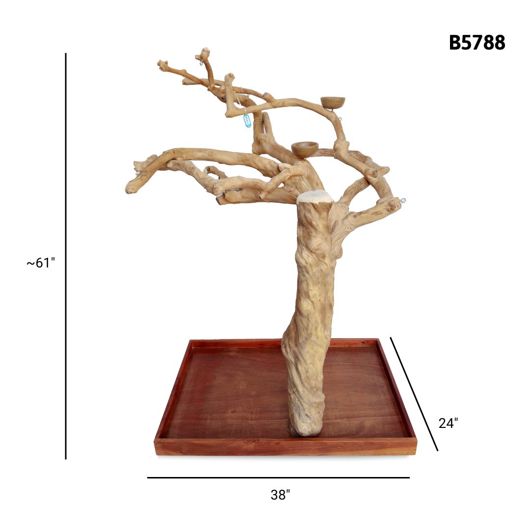 A&E B5788 large Java wood tree playstand dimensions and specifications