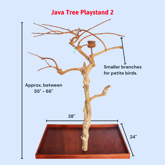 Squawk Shop Java Wood Parrot Play Stand with a 38" x 24" base, featuring natural branches and a feeding bowl—perfect for small to medium-sized birds to perch, climb, and play.
