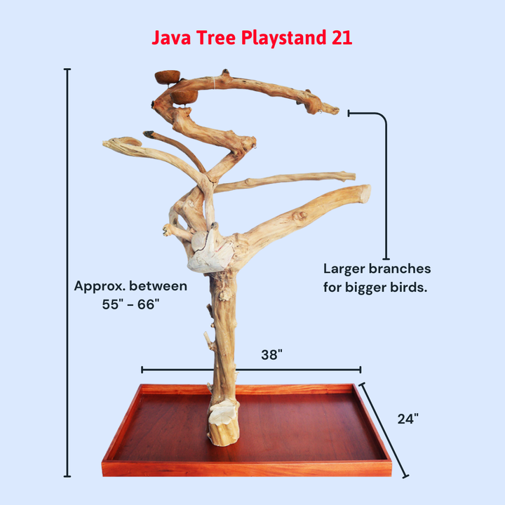 Squawk Shop Large Java Wood Parrot Playstand with 38" x 24" base and natural branches—ideal for climbing, perching, and enriching bird play.