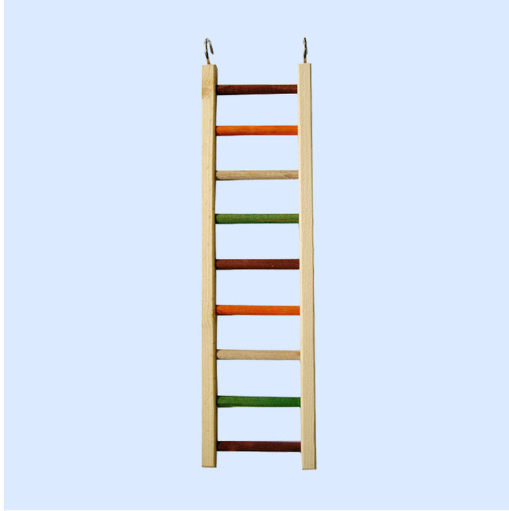 Medium Wooden Hanging Ladder from Squawk Shop, 20" x 5.25" with colorful chewable rungs, designed for bird climbing and play.