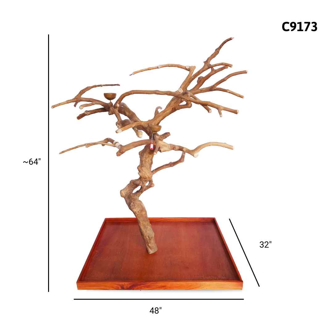 Natural java wood parrot tree stand with unique climbing branches and sturdy base – Tree ID C9173
