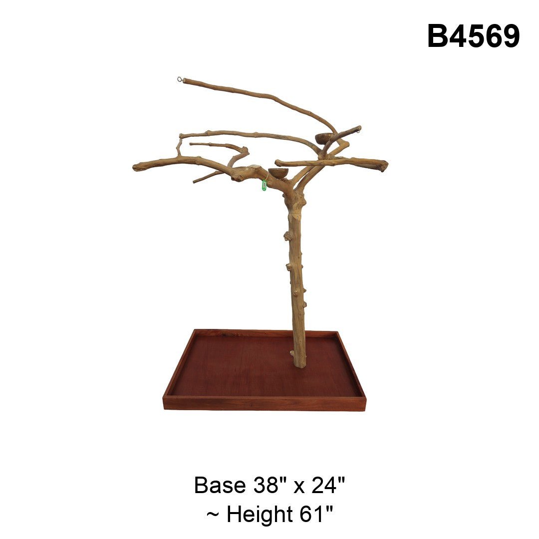 Java Tree Floor Stand for Parrots (Pick Your Exact Tree)