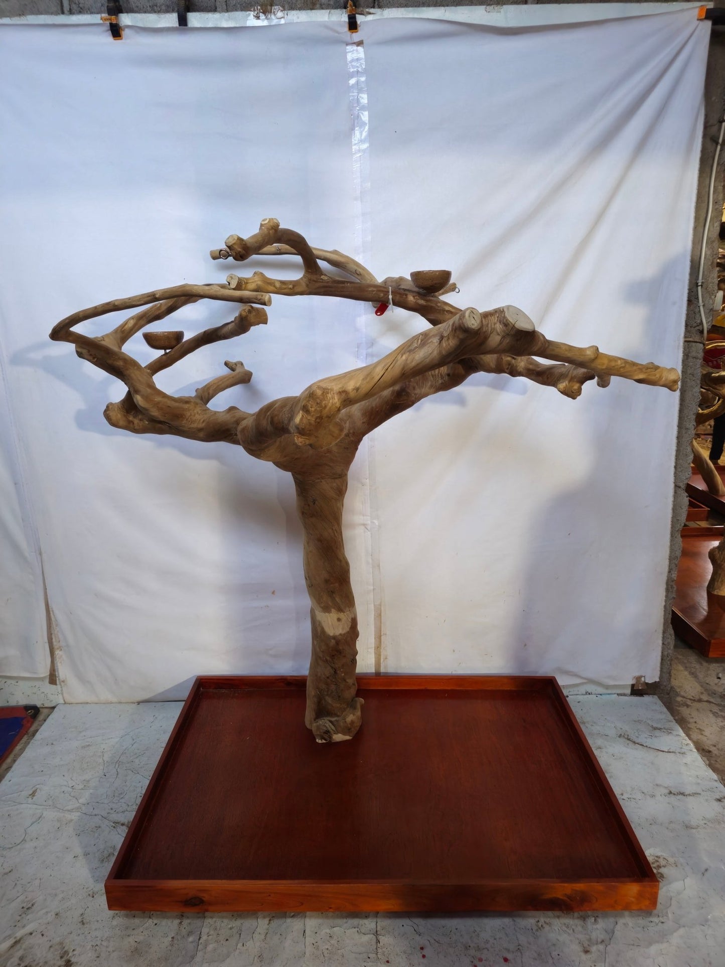 Java Tree Floor Stand for Parrots (Pick Your Exact Tree)