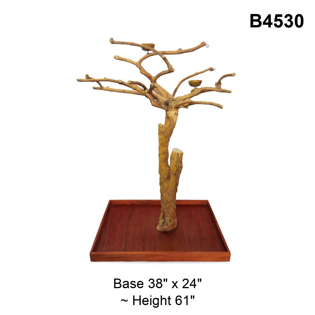 Java Tree Floor Stand for Parrots (Pick Your Exact Tree)