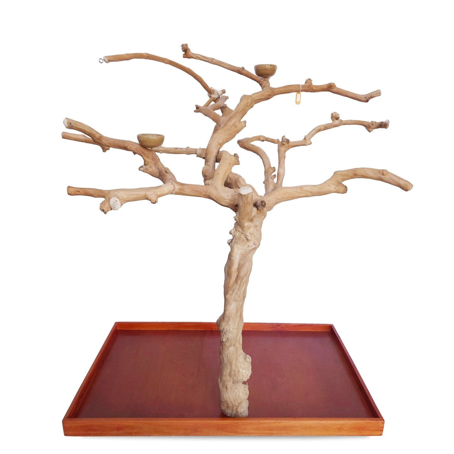 Large Java Tree Stand for Parrots (Pick Your Exact Tree)