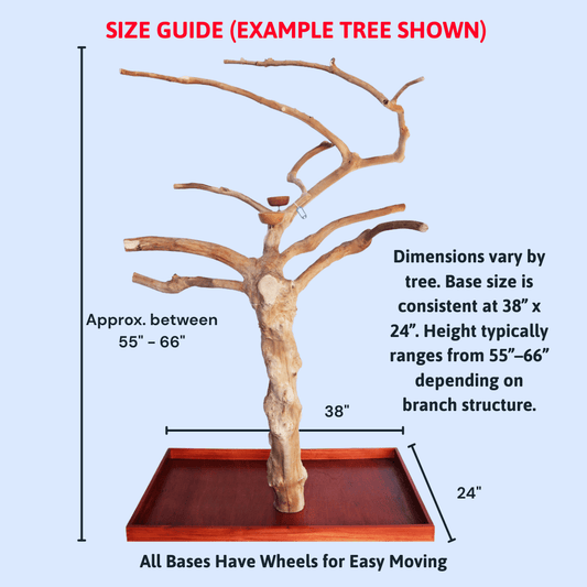 Size guide for a decorative tree with dimensions and base information on a light blue background.