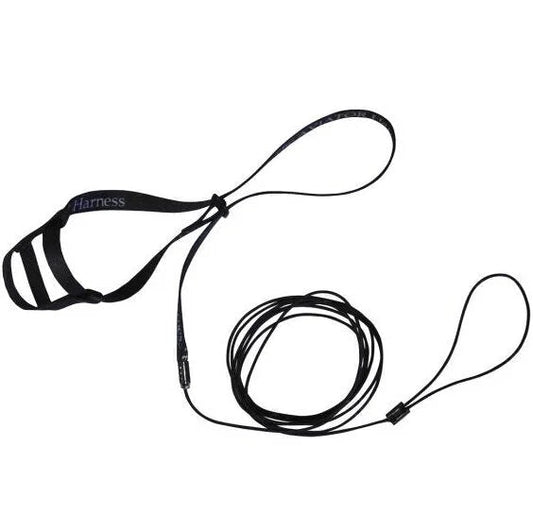 Black leash with a handle on a white background