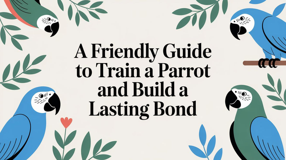 A Friendly Guide to Train a Parrot and Build a Lasting Bond