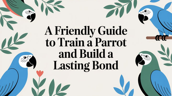A Friendly Guide to Train a Parrot and Build a Lasting Bond