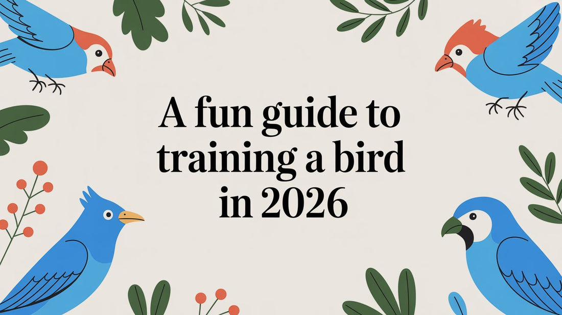 A Fun Guide to Training Your Bird