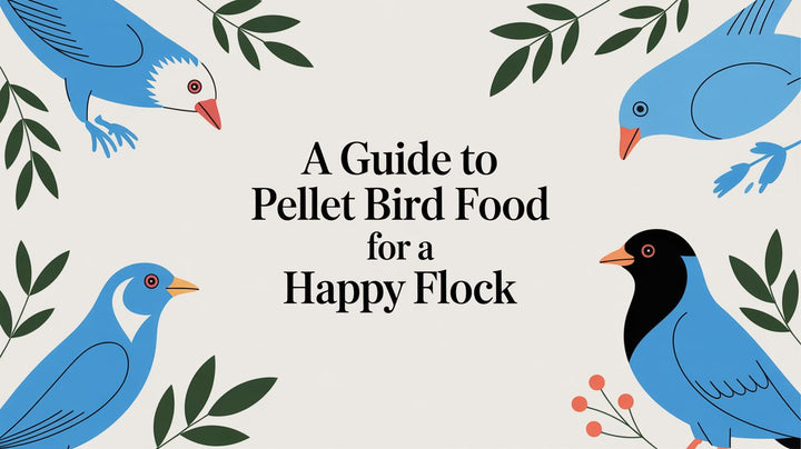 A Guide to Pellet Bird Food for a Happy Flock