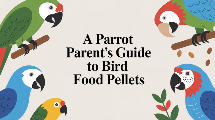 A Parrot Parent's Guide to Bird Food Pellets