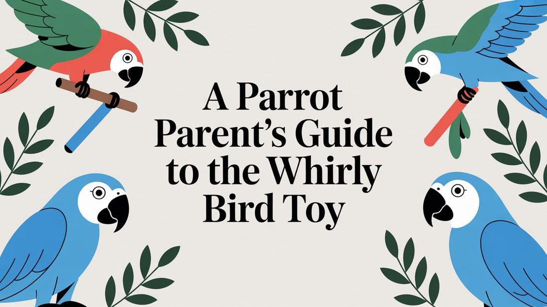 A Parrot Parent's Guide to the Whirly Bird Toy