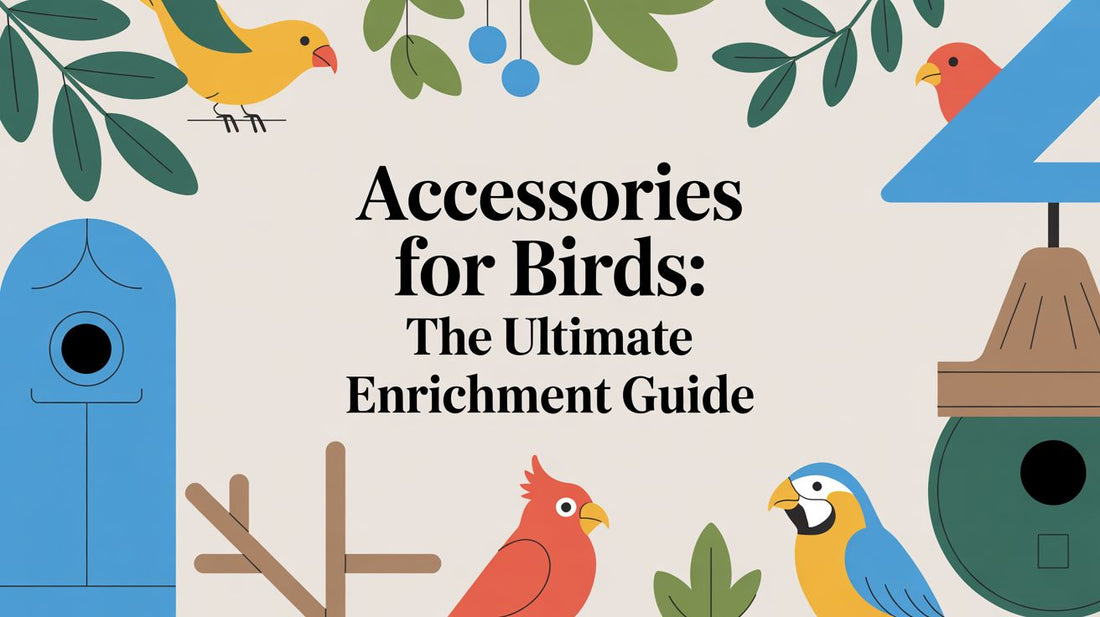 Accessories for Birds: The Ultimate Enrichment Guide