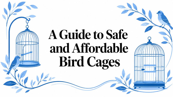 A Guide to Safe and Affordable Bird Cages for Parrots