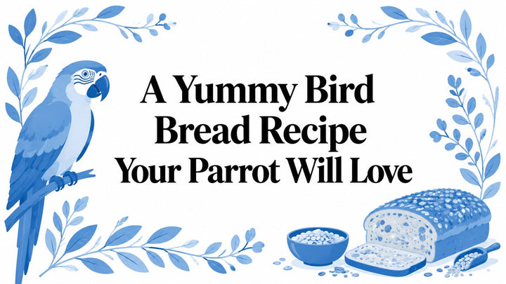 A Yummy Bird Bread Recipe Your Parrot Will Love