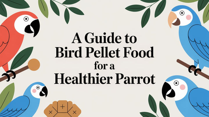 Bird Pellet Food: The Ultimate Guide for a Happy, Healthy Parrot