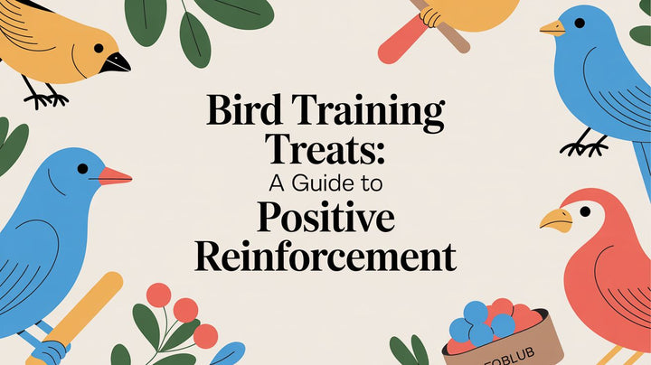 Bird Training Treats: A Guide to Positive Reinforcement