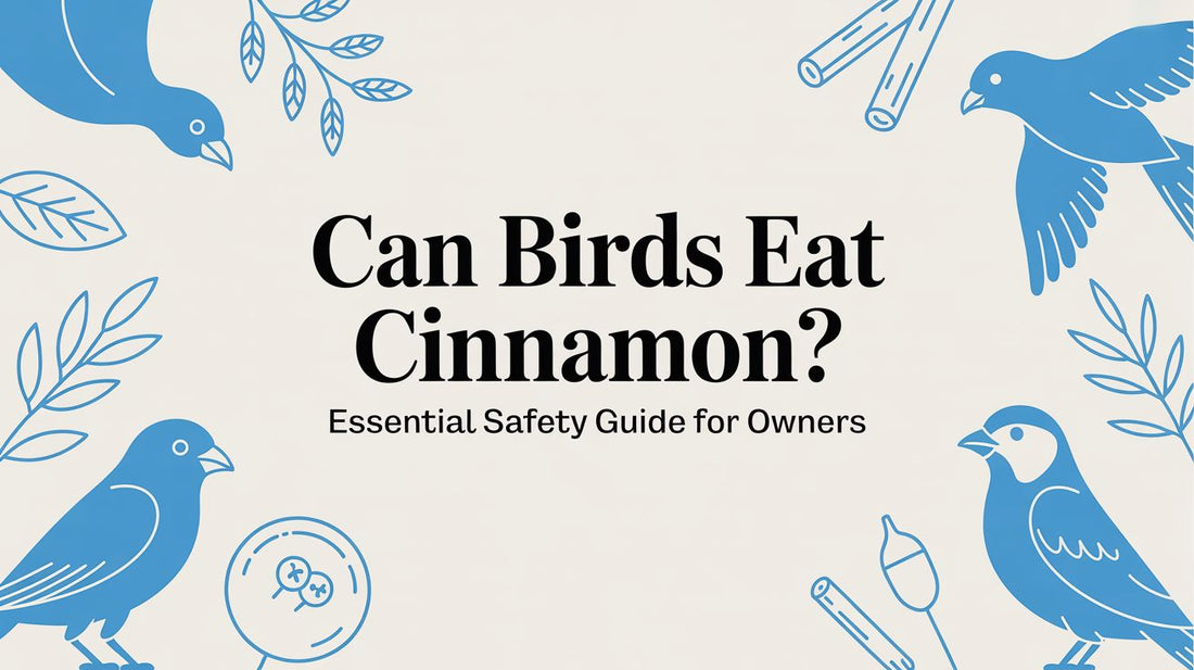 Can Birds Eat Cinnamon? A Parrot Parent's Guide to Spice Safety