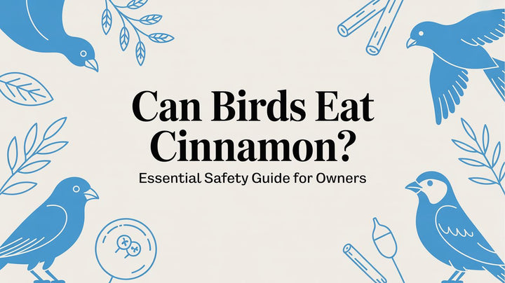 Can Birds Eat Cinnamon? A Parrot Parent's Guide to Spice Safety