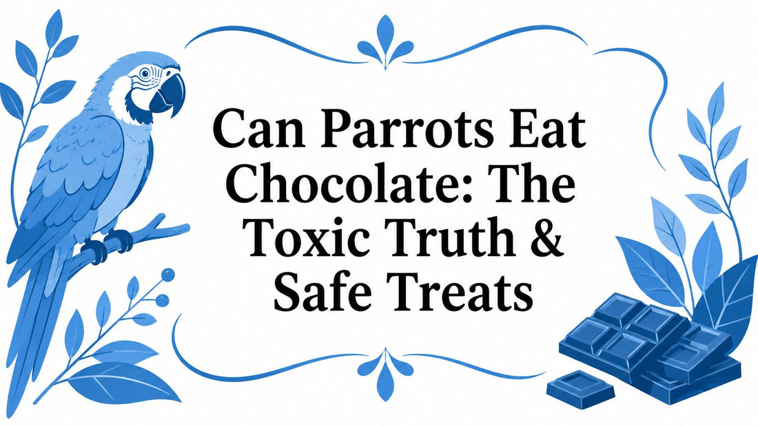 Can Parrots Eat Chocolate: The Toxic Truth & Safe Treats