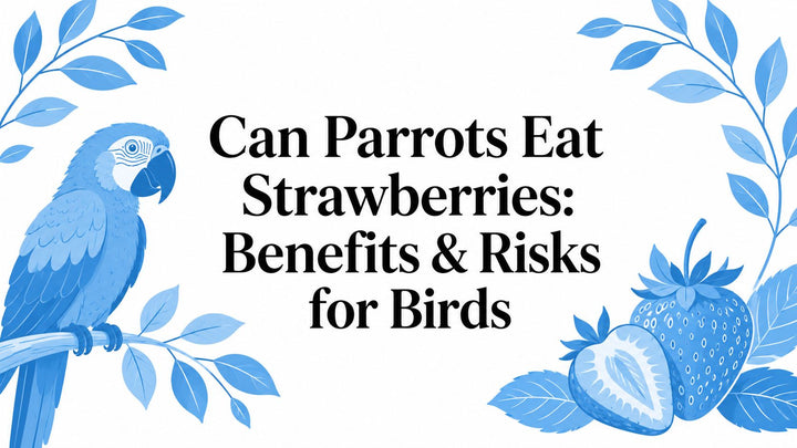 Can Parrots Eat Strawberries: Benefits & Risks for Birds