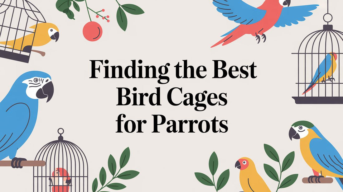 Finding the Best Bird Cages for Parrots: A Parrot Parent's Guide