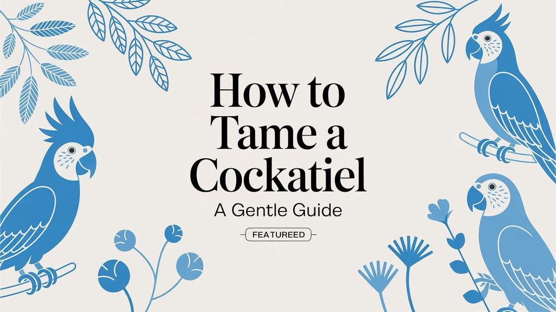 How to Tame a Cockatiel: A Gentle Guide for Bird Parents