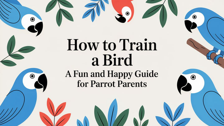 How to Train a Bird: A Fun and Happy Guide for Parrot Parents