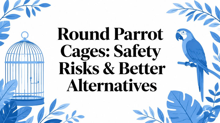 Round Parrot Cages: Safety Risks & Better Alternatives