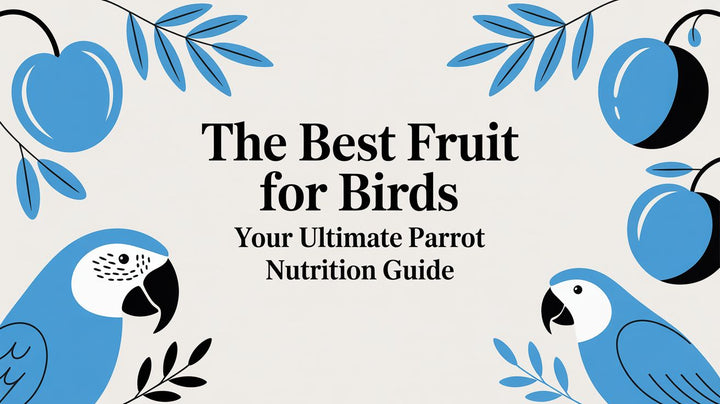 The Best Fruit for Birds: Your Ultimate Parrot Nutrition Guide
