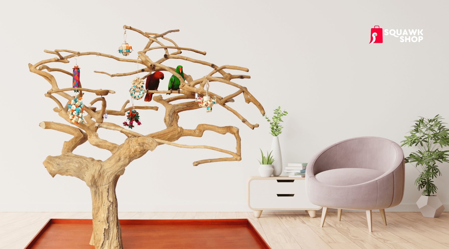 Why Java Trees Are So Good for Parrots (And How to Pick the Right One ...