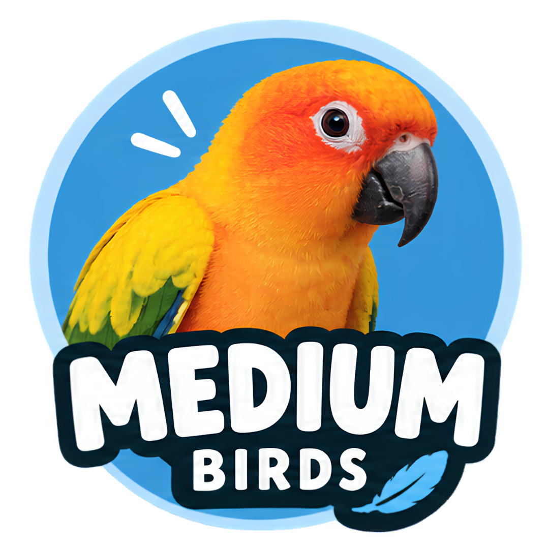 Medium Birds