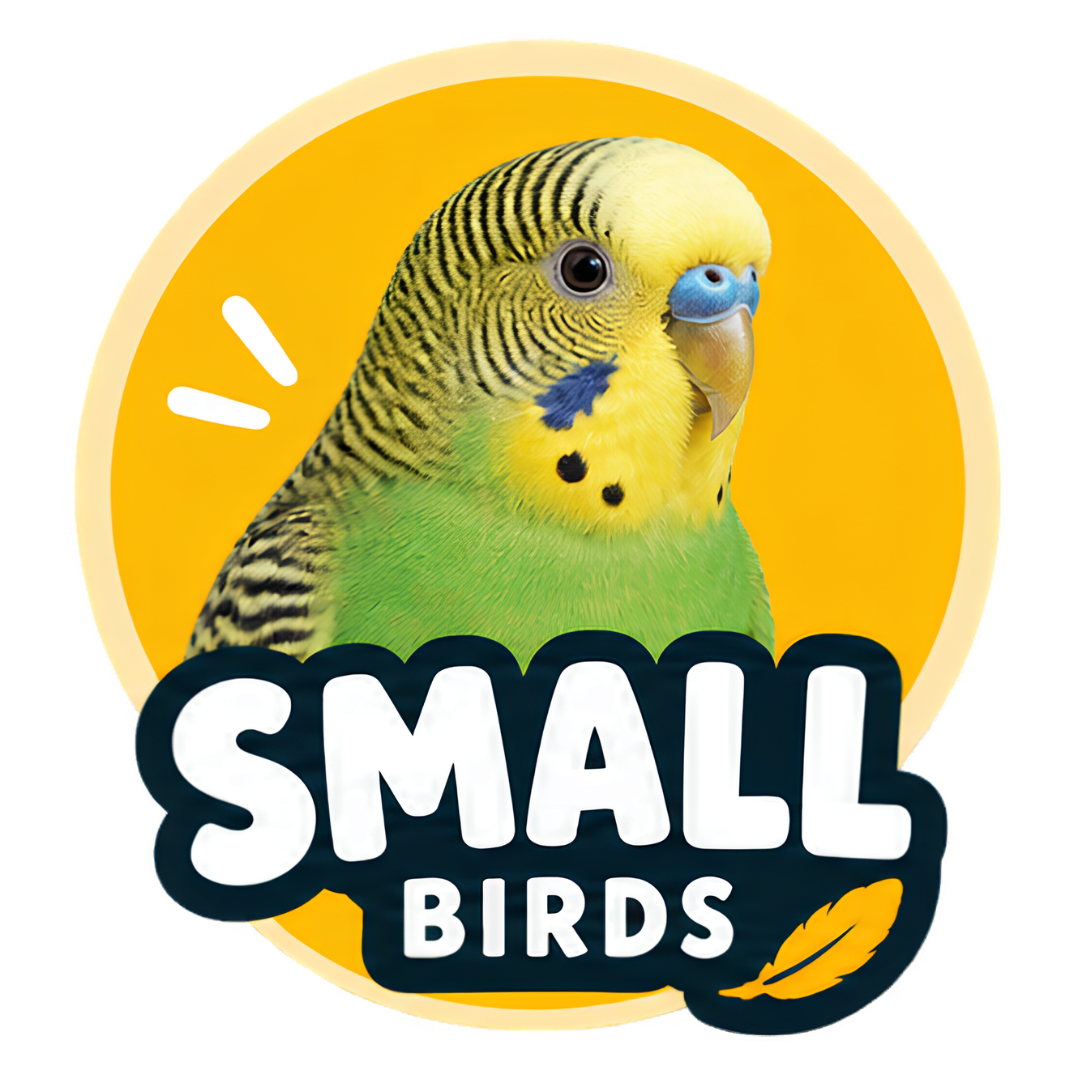 Small Birds