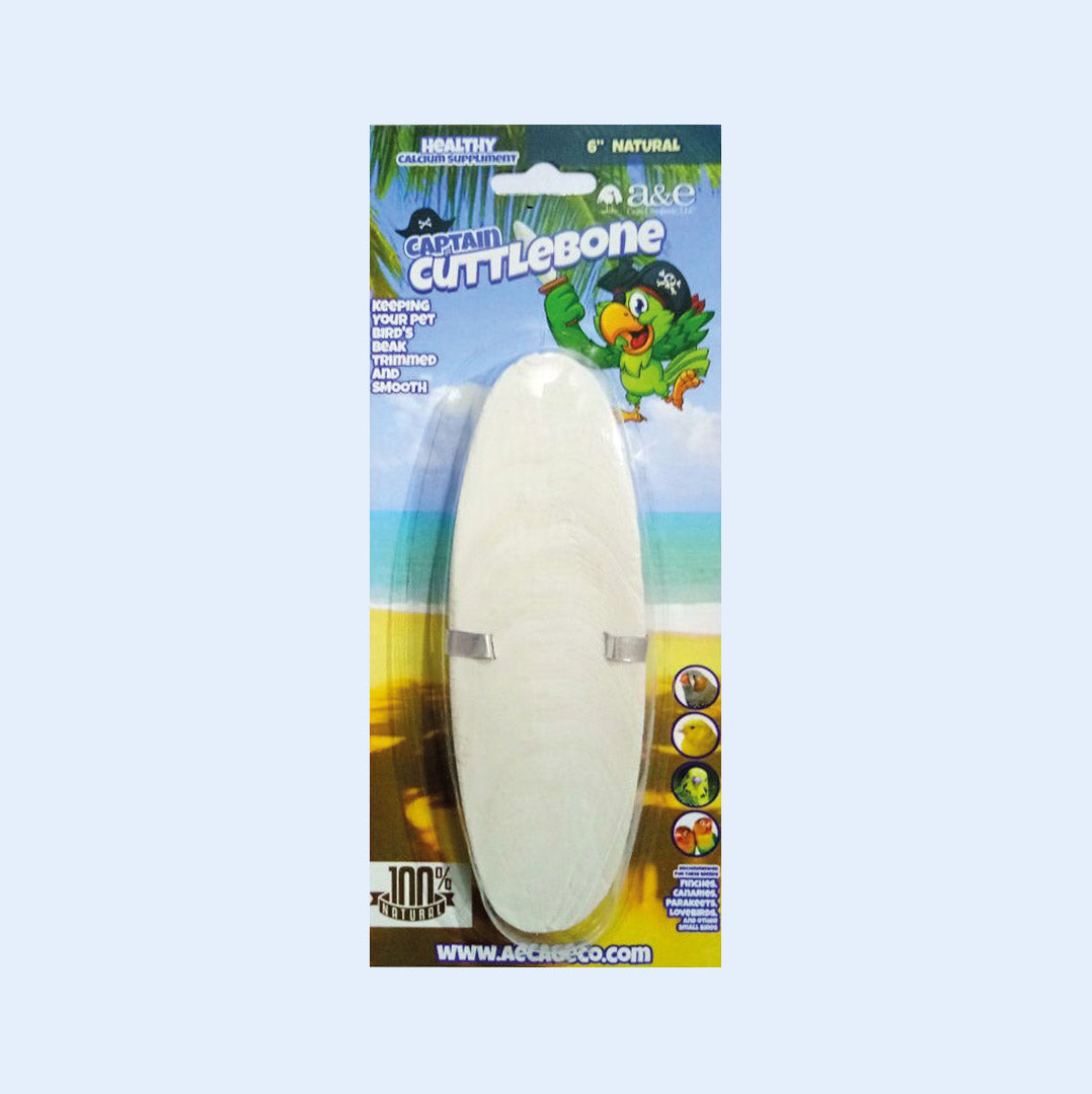 6" Natural Cuttlebone Calcium Supplement for Birds
