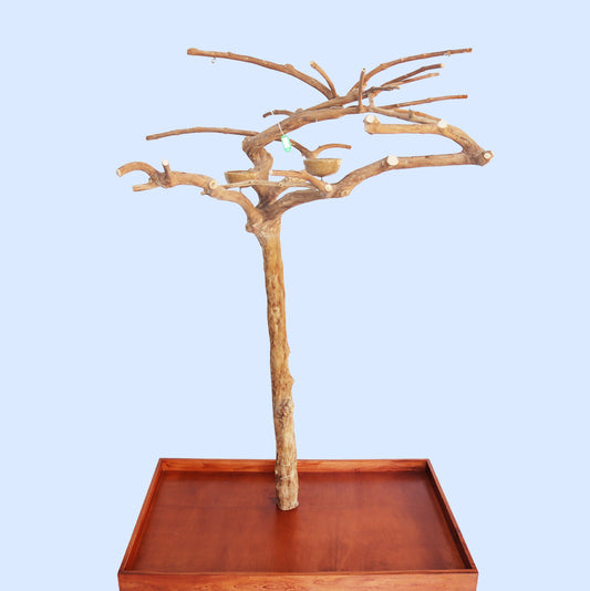 Large Java Tree Play Stand 1