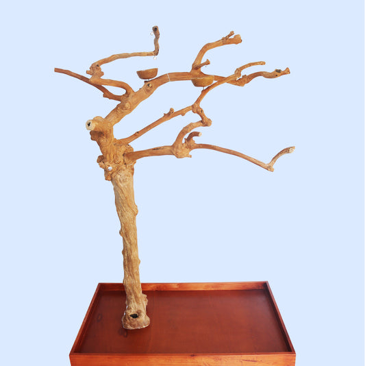 Large Java Tree Play Stand 12