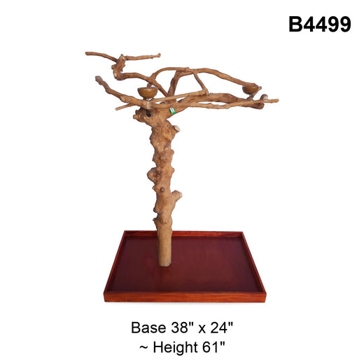 Squawk Shop Java Tree B4499-S