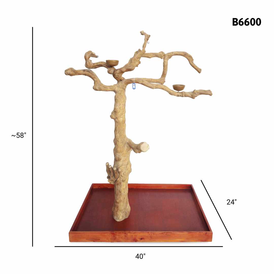 Java Tree Floor Stand for Parrots (Pick Your Exact Tree)