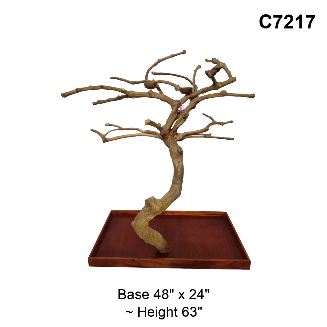 Java Tree Floor Stand for Parrots (Pick Your Exact Tree)