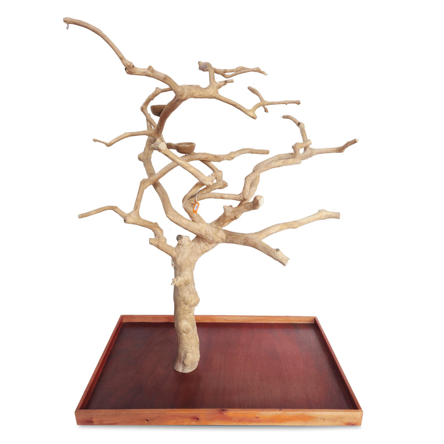 Natural java wood parrot tree stand with unique climbing branches and sturdy base – Tree ID C8257